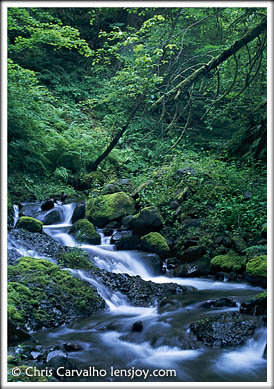 Perham Creek -- Photo © Chris Carvalho/Lensjoy.com