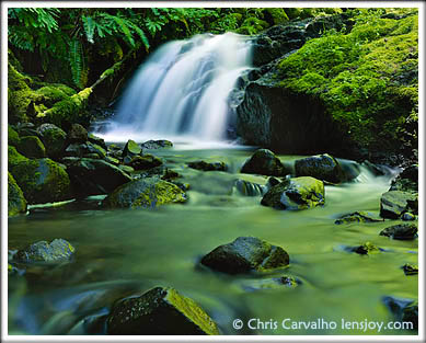 Enchanted Waterfall -- Photo © Chris Carvalho/Lensjoy.com