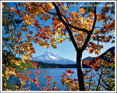 Autumn's Embrace -- © Chris Carvalho/Lensjoy.com